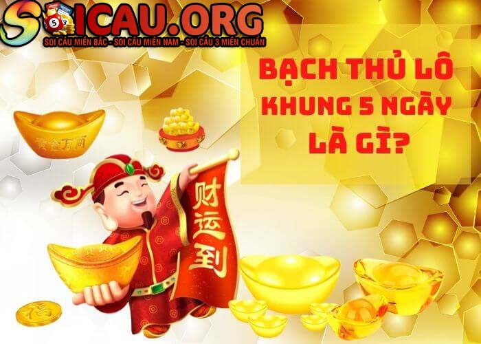 Bạch thủ lô khung 5 ngày là gì?