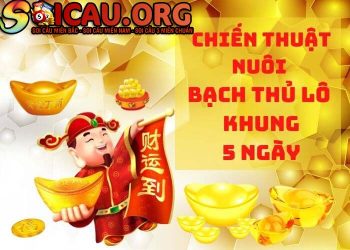 Nuôi bạch thủ lô khung 5 ngày chuẩn xác, miễn phí