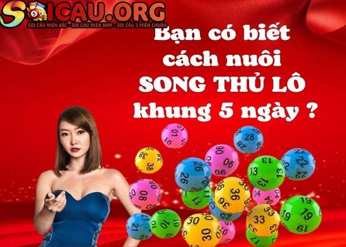 Nuôi lô song thủ khung 5 ngày là gì?