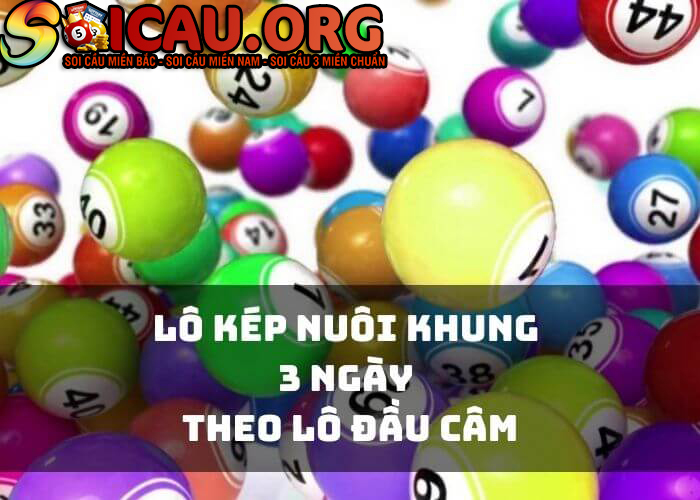 Lô kép nuôi khung 3 ngày theo đầu câm