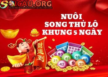 Nuôi lô song thủ khung 5 ngày chính xác, bất bại