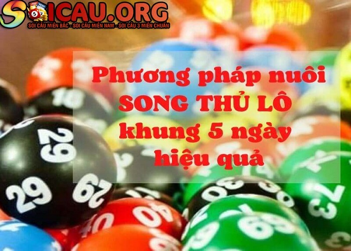 Đâu là phương pháp nuôi lô song thủ khung 5 ngày hiệu quả nhất?