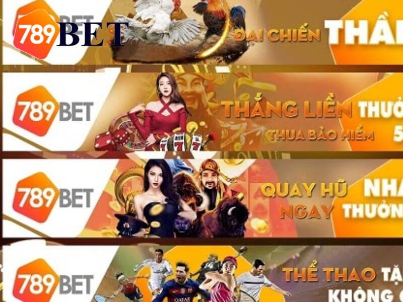 Khái quát về nhà cái 789bet