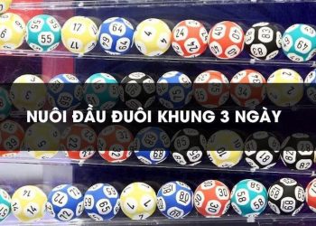 Cách nuôi đầu đuôi khung 3 ngày thành công tuyệt đối