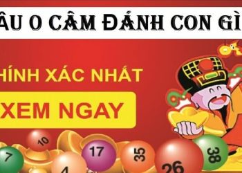 Đầu 0 câm hôm sau đánh con lô gì dễ trúng, hiệu quả nhất?