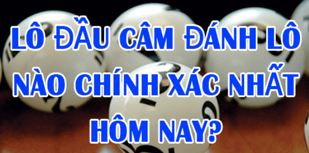 Đầu 2 câm hôm sau đánh con lô gì dễ trúng, hiệu quả nhất? 2