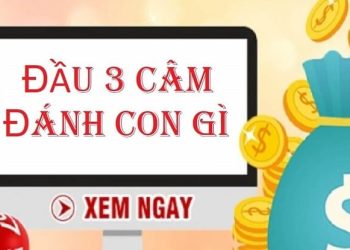 Đầu 3 câm hôm sau đánh con lô gì dễ trúng, hiệu quả nhất?