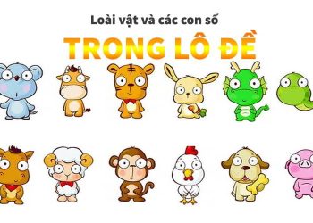 Bảng số đề con vật cho anh em tham khảo đánh là trúng