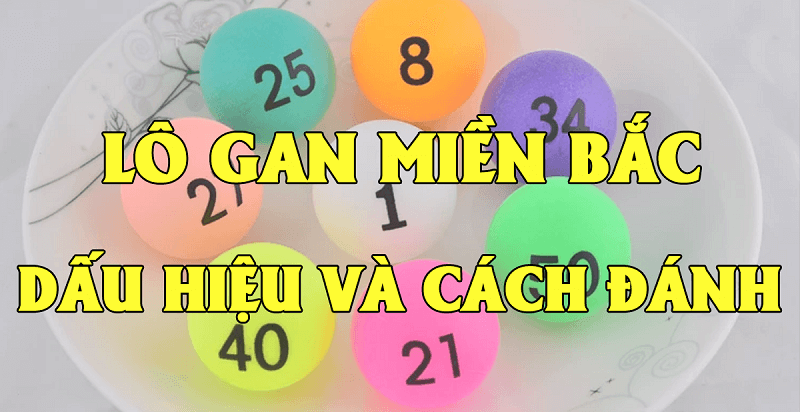 Khái quát về lô gan Miền Bắc