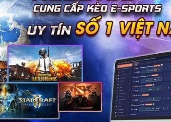 Hướng dẫn từ A đến Z về cách chơi cá cược Thể thao điện tử Kubet