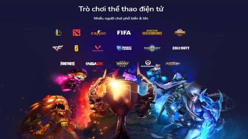 Các bộ môn TTĐT tại Bk8