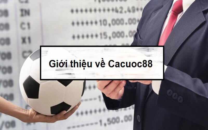 Đây là một trang phân tích và review nhà cái chất lượng nhất hiện nay