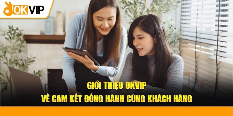 Thông tin khái quát về các hoạt động OKVIP