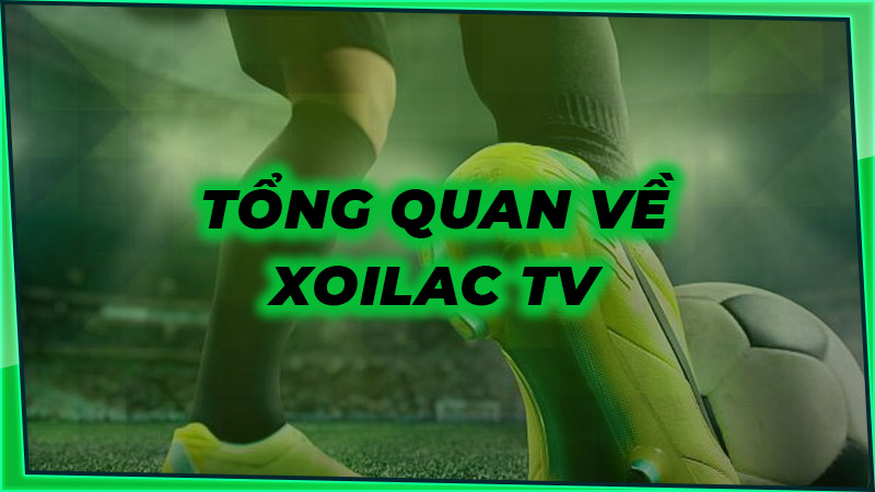 Tổng quan về website Xoilac TV