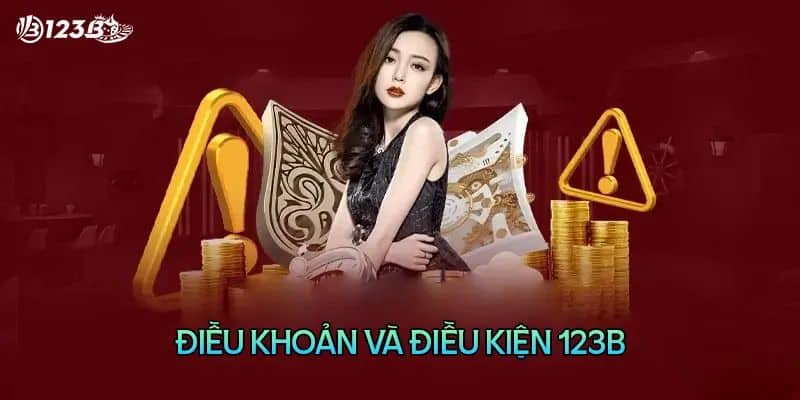 Thế nào là điều khoản và điều kiện 123B