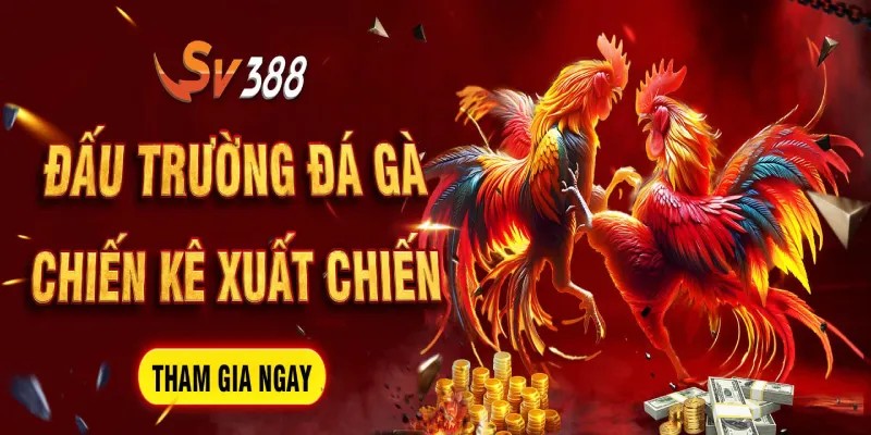 Những yếu tố chính đưa Sv388 đến thành công