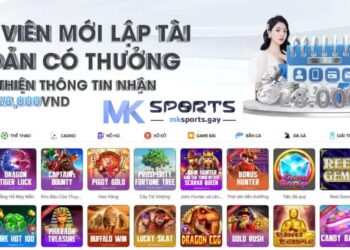 MK Sport – Nhà Cái Cá Cược An Toàn Với Khuyến Mãi Khủng