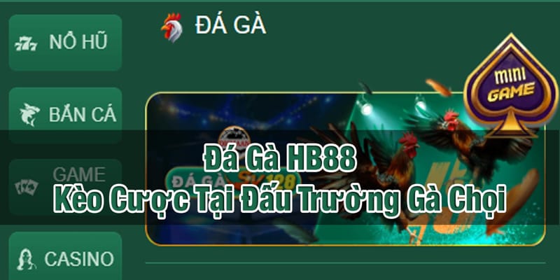 Hành trình bước vào sảnh đá gà – Dễ dàng nhưng đầy cảm xúc