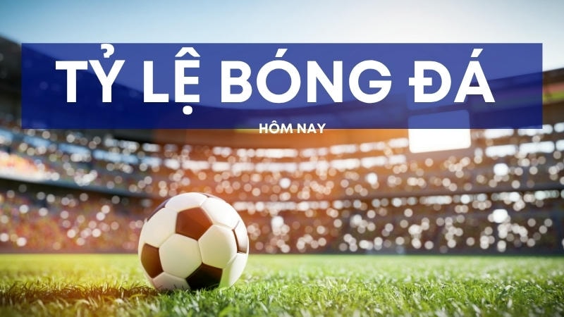 Giải đấu đỉnh cao tại thể thao FM88, kèo cược đa dạng.