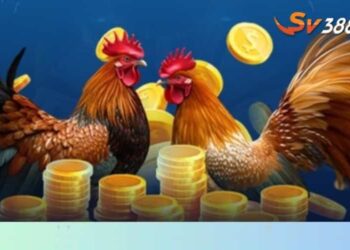 Bí kíp cá cược đá gà SV388 – Học ngay để thắng đậm