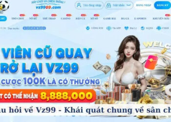 Câu hỏi về vz99 – Giải đáp chi tiết cho người chơi mới