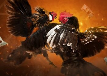 Đá Gà Trực Tuyến Nhiều Người Xem