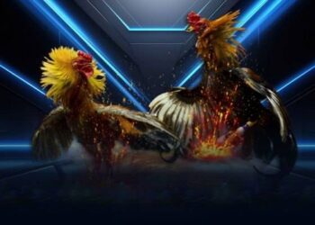 Đá gà 58win – Sân chơi đá gà trực tuyến kịch tính và hấp dẫn